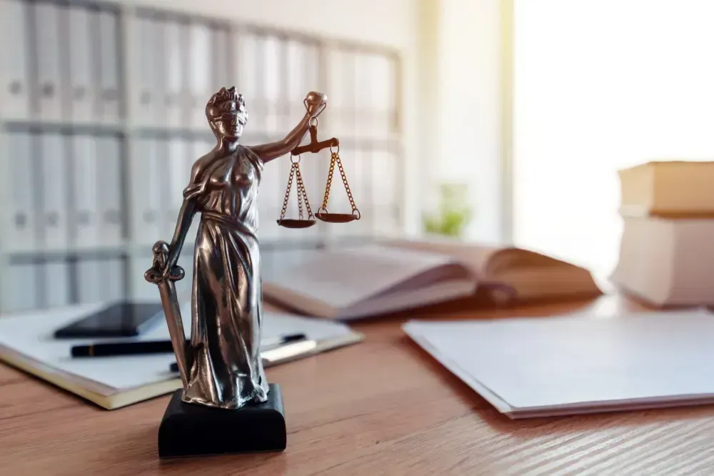 avocat (4)